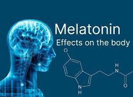 The 10 Things to Know About Melatonin Function – Dosage, Side Effects, and Prevention